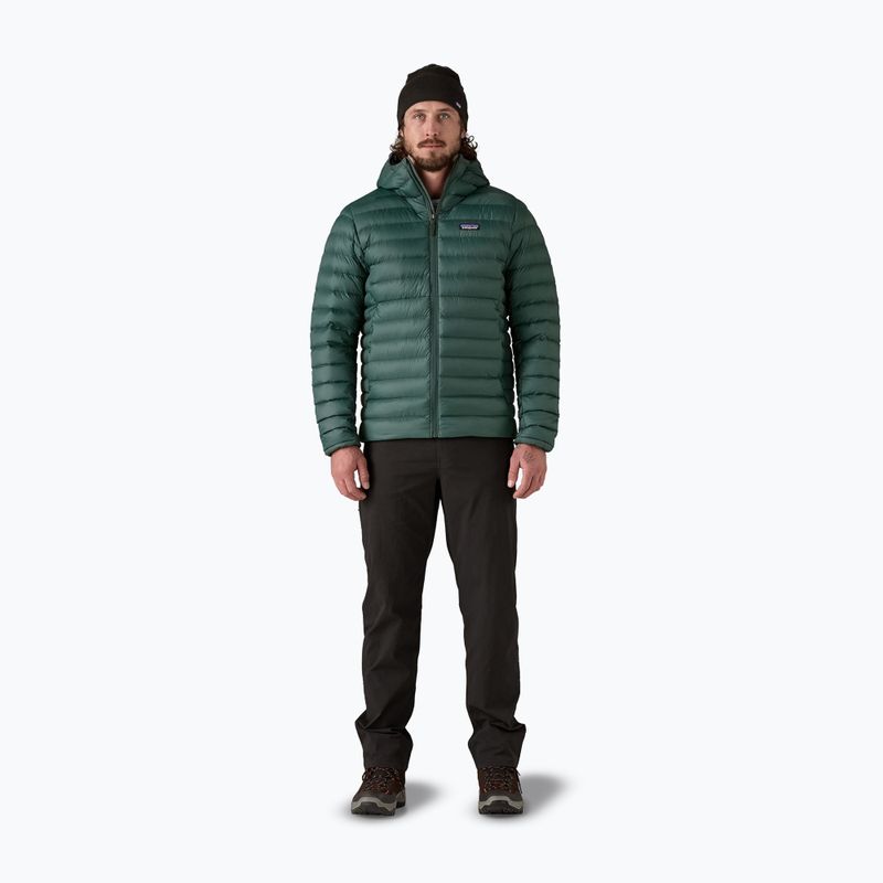 Herren Daunenjacke Patagonia Down Sweater Hoody cascade green 2