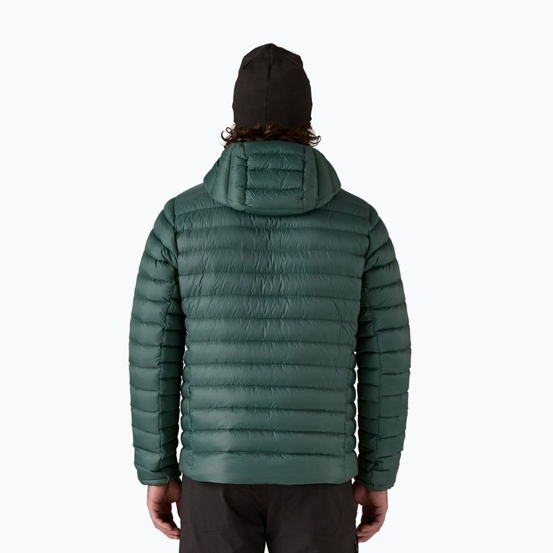 Herren Daunenjacke Patagonia Down Sweater Hoody cascade green 3