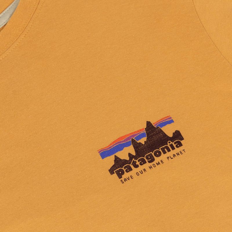 Herren-Shirt Patagonia '73 Skyline T-Shirt dried mango 3