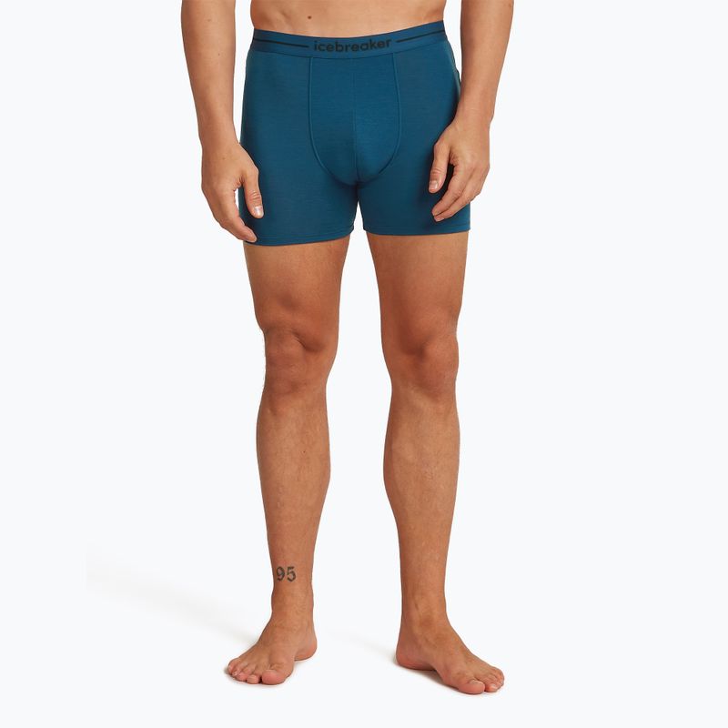 Thermo-Boxershorts für Männer icebreaker Anatomica atlantis 2