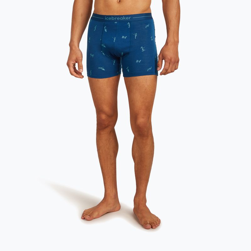 Thermoaktive Boxershorts Herren icebreaker Anatomica Snow Day atlantis/topaz/aop 2