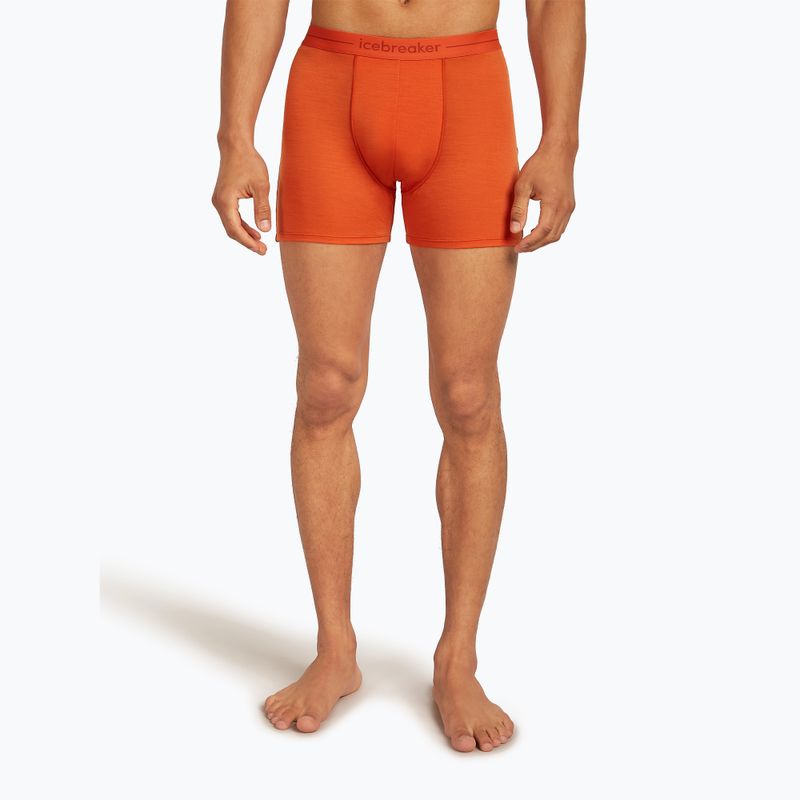 Thermo-Boxershorts für Männer Icebreaker Anatomica fervid 2