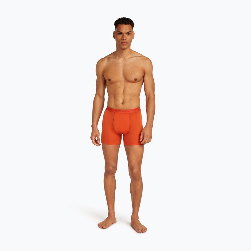 Thermo-Boxershorts für Männer Icebreaker Anatomica fervid 3