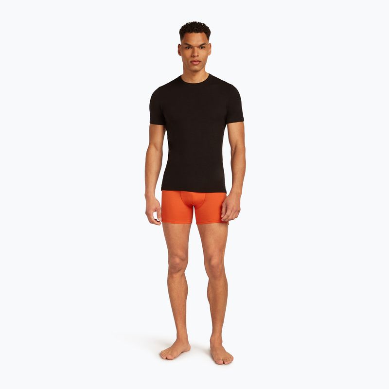 Thermoaktive Boxershorts Herren icebreaker Anatomica fervid 6