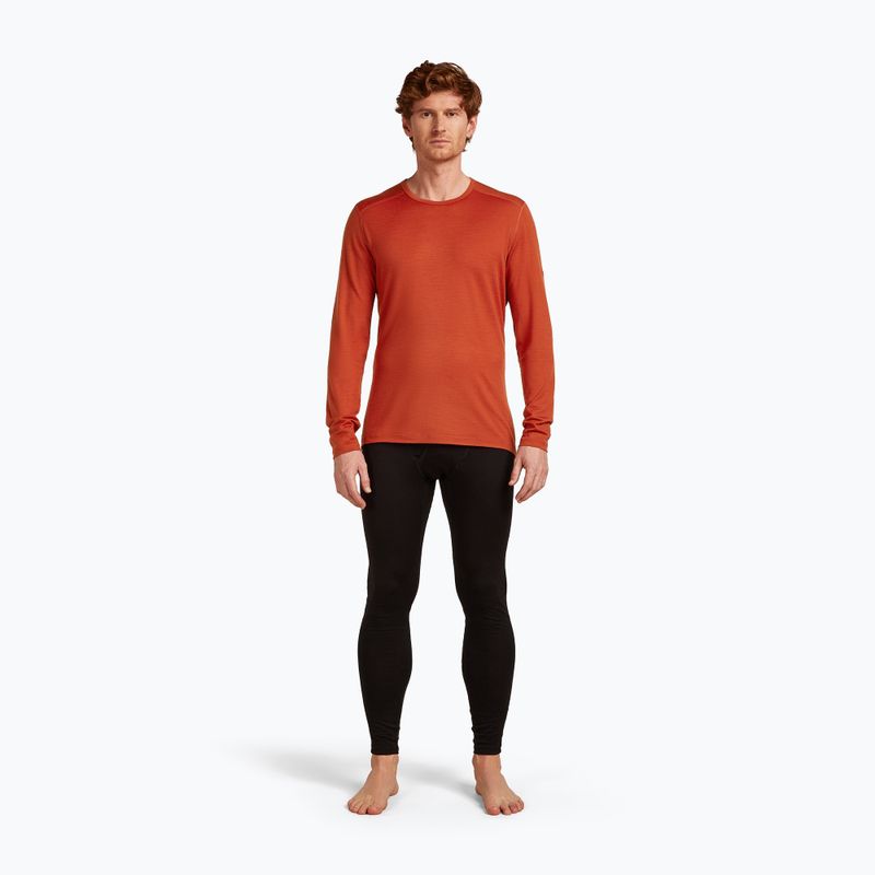Herren Thermoaktivshirt icebreaker 200 Oasis Crewe agate 2