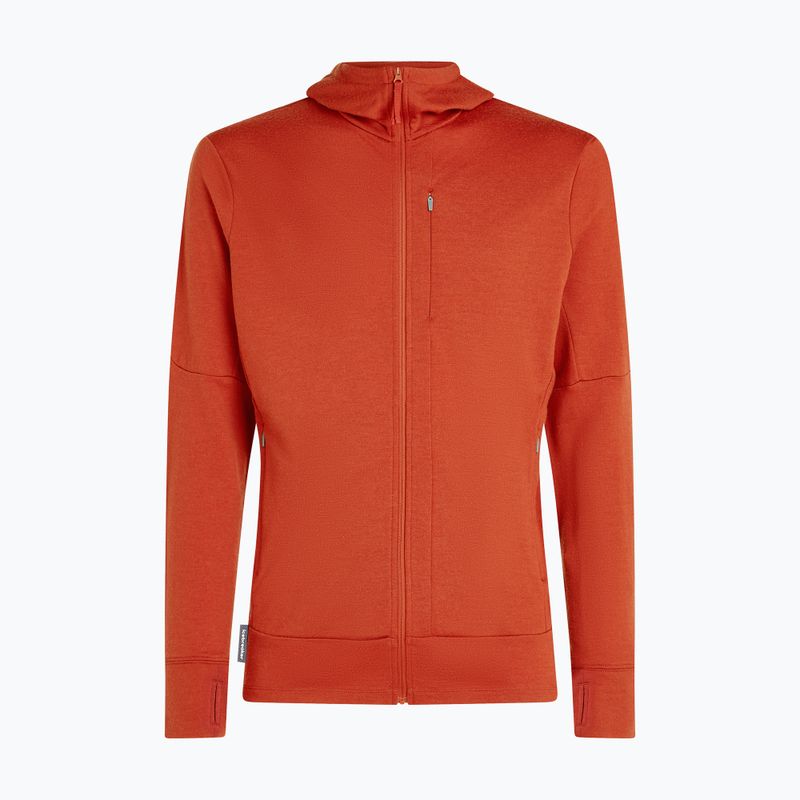 Icebreaker Merino 260 Quantum IV Zip Hoodie für Herren achat 10