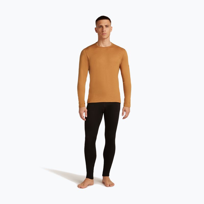 Thermo-Longsleeve Herren icebreaker 260 Tech Crewe trail 2