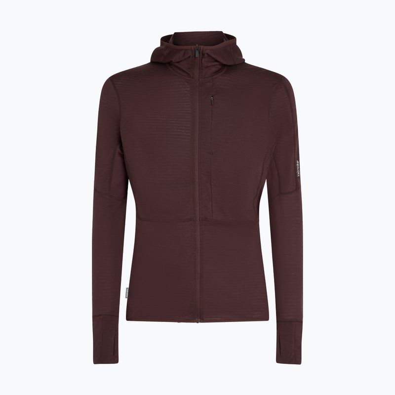 Icebreaker Merino 200 RealFleece Descender Zip Hoodie java trekking sweatshirt 10