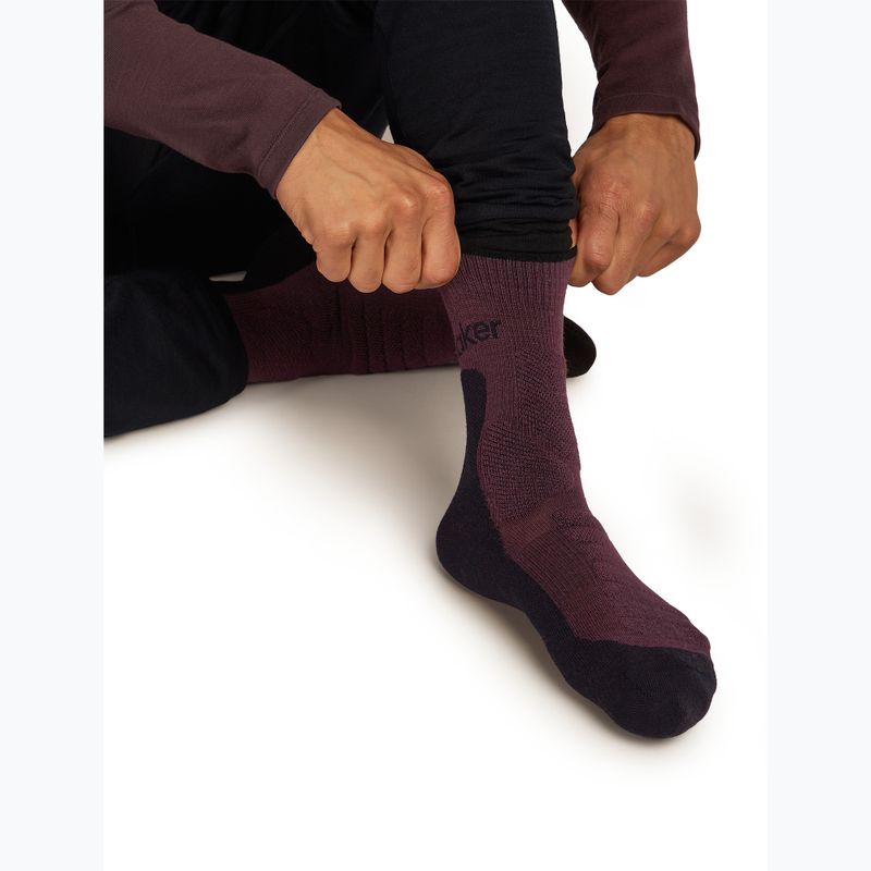 Herren-Socken icebreaker Merino Hike+ Heavy Crew java/schwarz 5