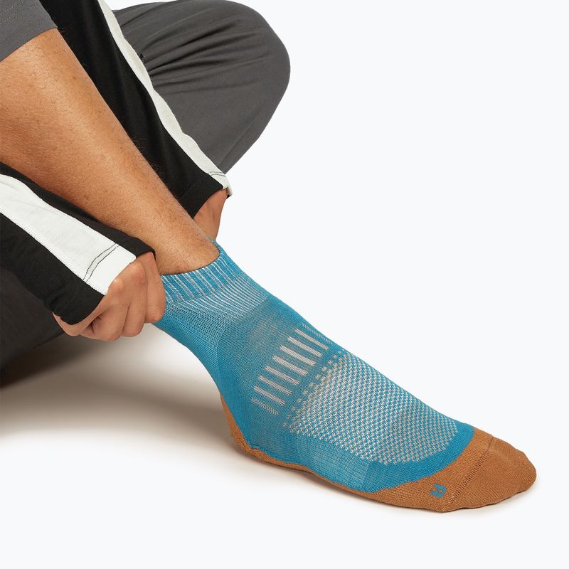 Icebreaker Merino Hike+ Light Mini Topas/Trail Socken für Herren 3