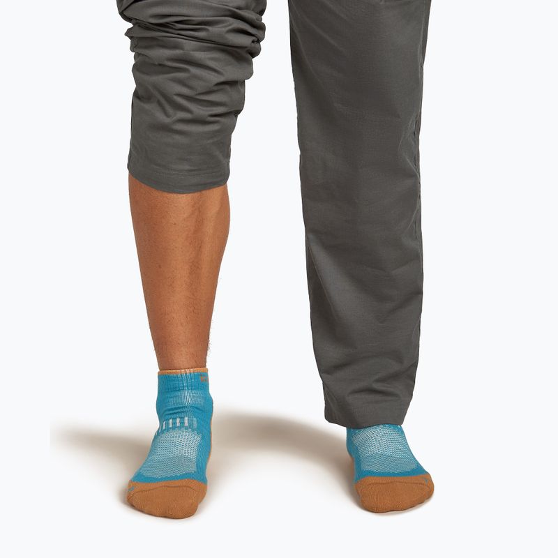 Icebreaker Merino Hike+ Light Mini Topas/Trail Socken für Herren 4