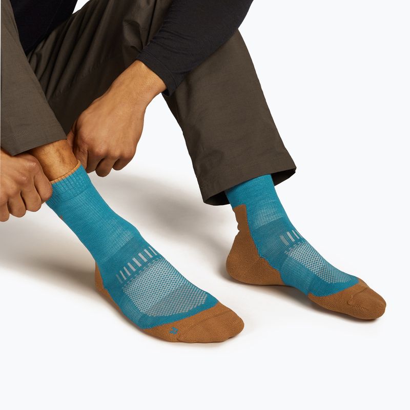 Socken Herren icebreaker Merino Hike+ Light Crew topaz/trail 3