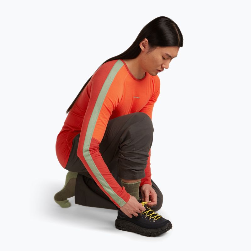 Socken Herren icebreaker Merino Hike+ Medium Crew loden/lichen 5