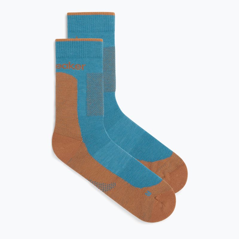 Icebreaker Herrensocken Merino Hike+ Medium Crew topaz/trail 2