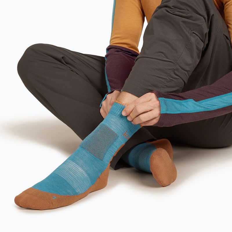 Icebreaker Herrensocken Merino Hike+ Medium Crew topaz/trail 3