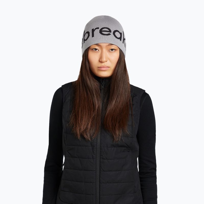 Wintermütze icebreaker Merino Icebreaker Beanie alloy/black 6