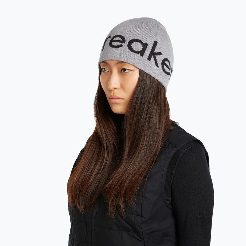 Wintermütze icebreaker Merino Icebreaker Beanie alloy/black 7