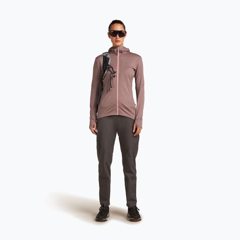 Hoodie Sweatshirt Damen icebreaker Merino 260 Quantum IV Zip Hoodie summit/blush 3