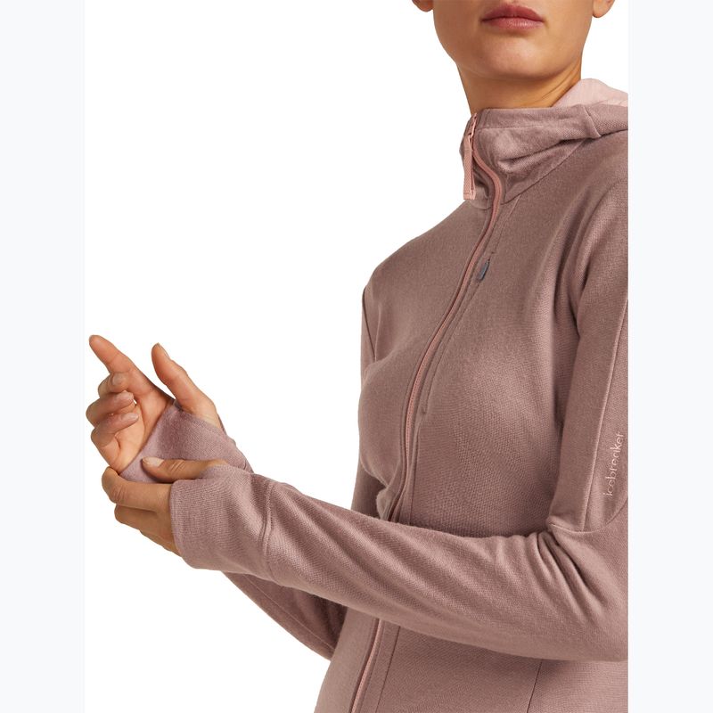 Hoodie Sweatshirt Damen icebreaker Merino 260 Quantum IV Zip Hoodie summit/blush 10