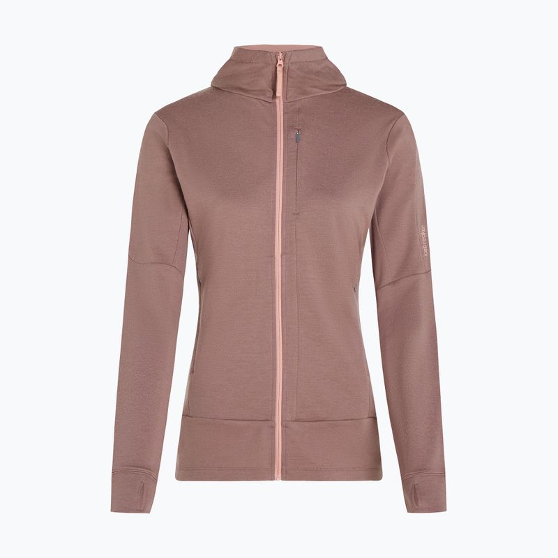Hoodie Sweatshirt Damen icebreaker Merino 260 Quantum IV Zip Hoodie summit/blush 11