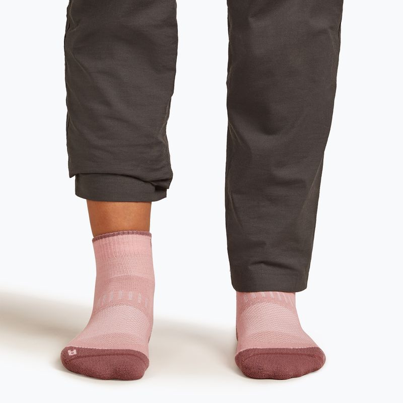 Socken Damen icebreaker Merino Hike+ Light Mini blush/summit 4
