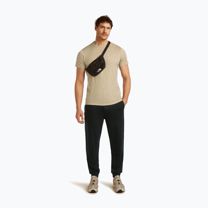 Herren T-Shirt icebreaker Merino 150 Tech Lite Peaceful Pass Tee flagstone 4