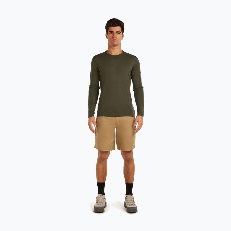 Thermoaktives Herren-Sweatshirt Icebreaker 200 Oasis Crewe dark loden 2