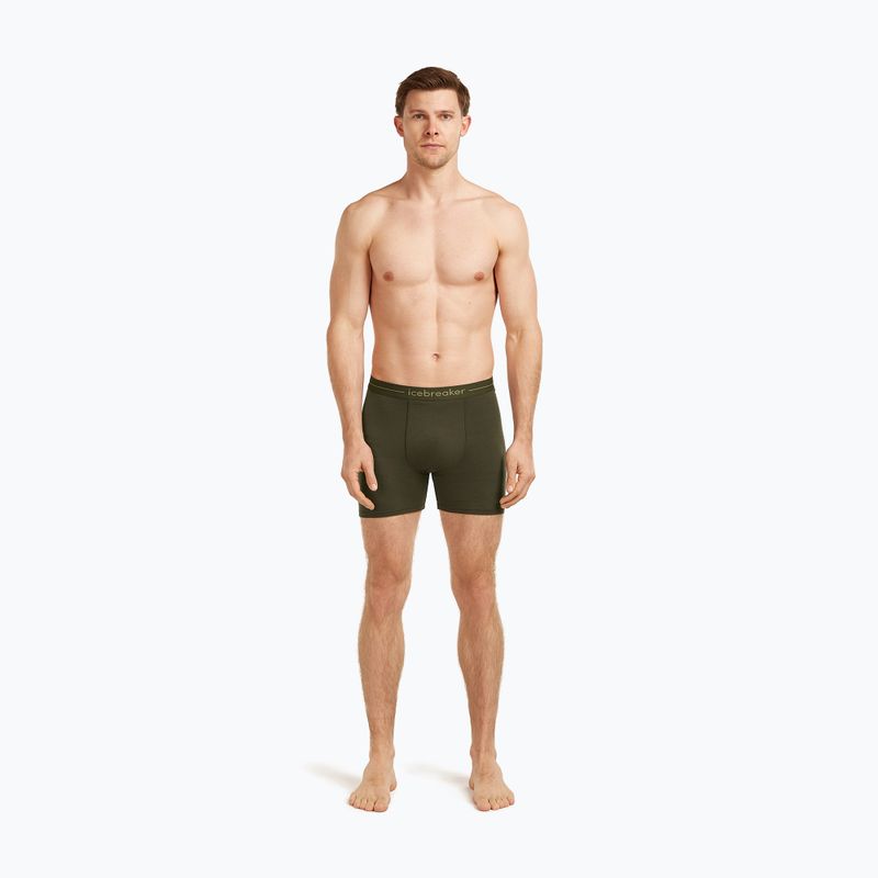 Thermoaktive Herren-Boxershorts icebreaker Anatomica dark loden 3