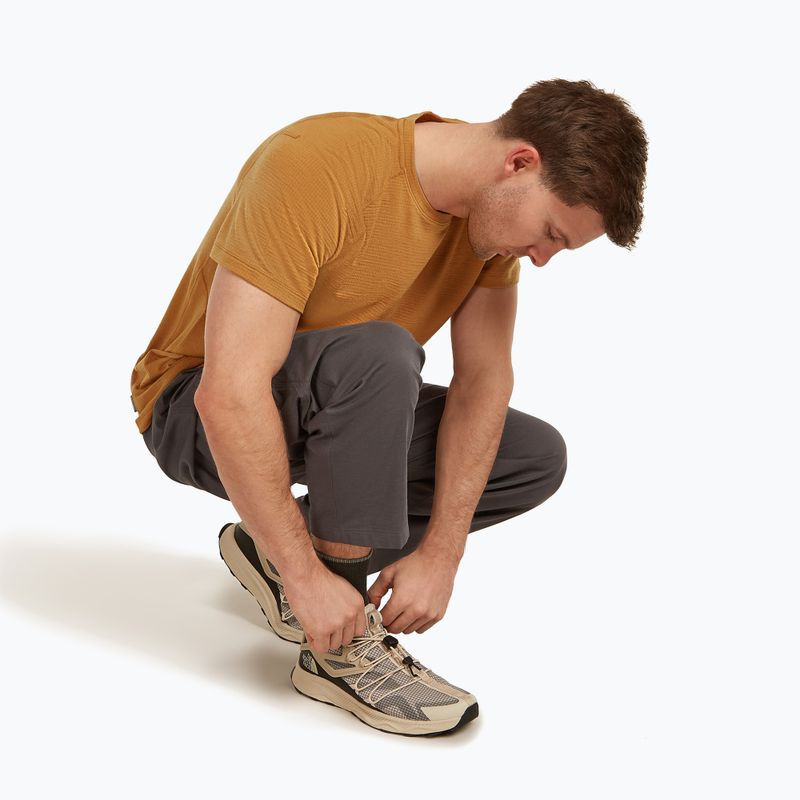 Herrensocken icebreaker Merino Hike+ Light Crew dark loden/lichen 4