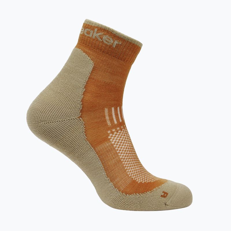 Herrensocken Icebreaker Merino Hike+ Light Mini trail/flagstone 5