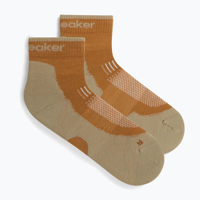 Herrensocken Icebreaker Merino Hike+ Light Mini trail/flagstone 6