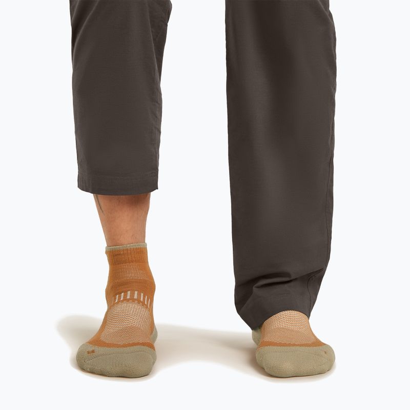 Herrensocken Icebreaker Merino Hike+ Light Mini trail/flagstone 7