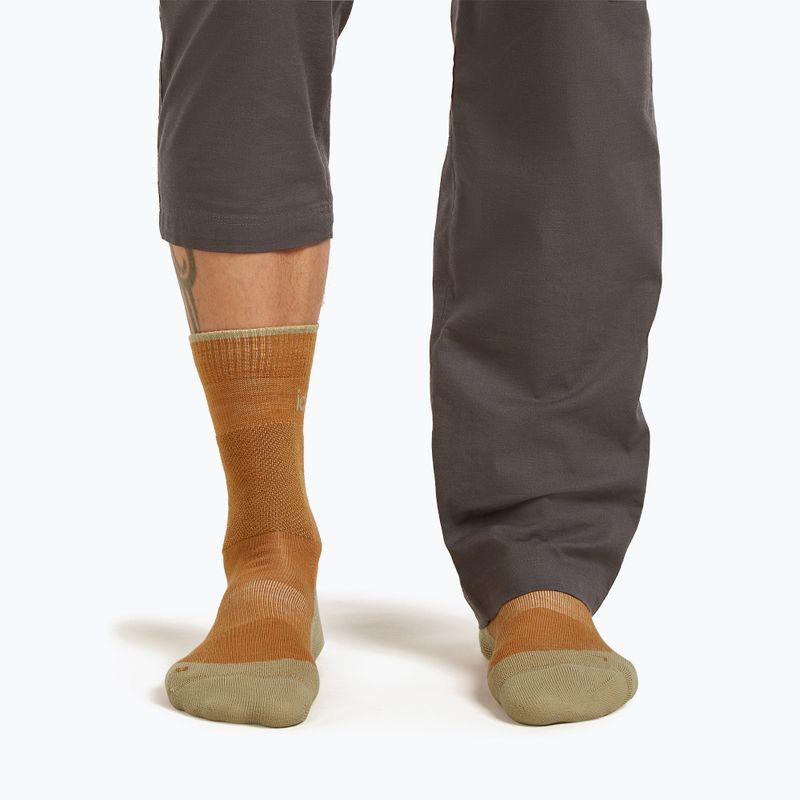 Herrensocken Icebreaker Merino Hike+ Medium Crew trail/flagstone 3