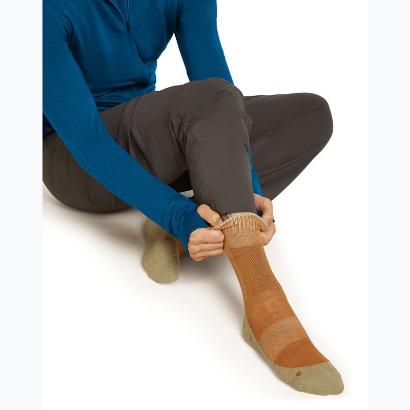 Herrensocken Icebreaker Merino Hike+ Medium Crew trail/flagstone 4