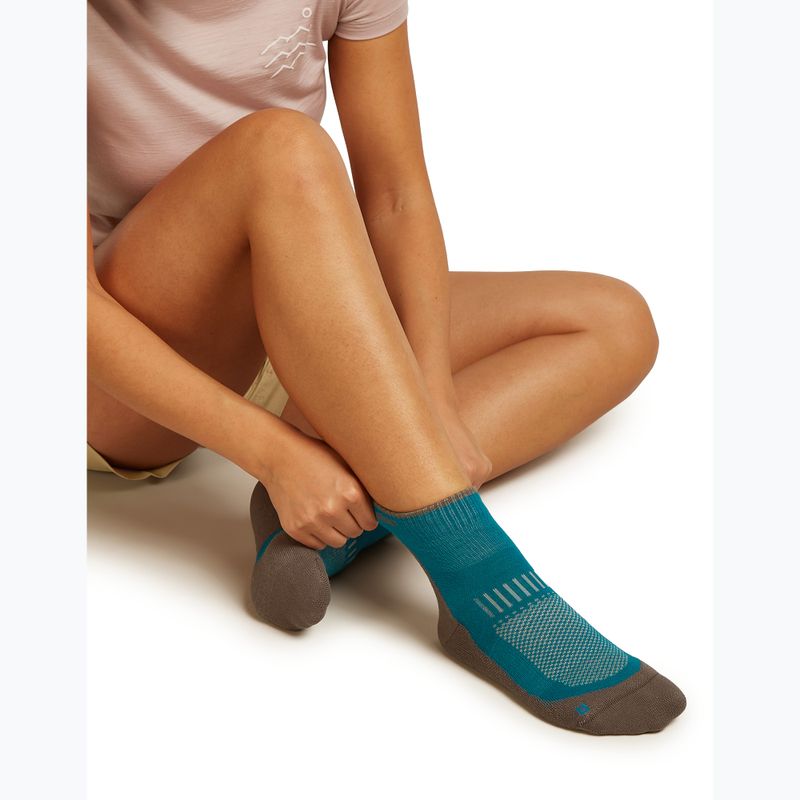 Damen Socken Icebreaker Merino Hike+ Light Mini tidal teal/porcini 4
