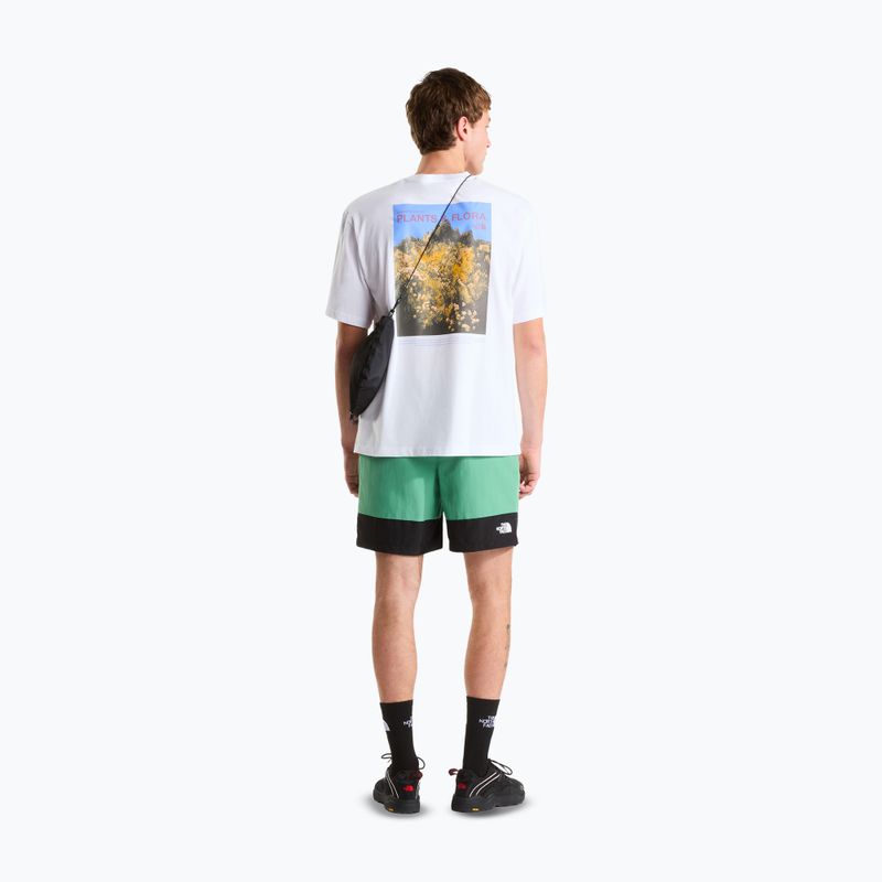 Herren-Trekkingshorts The North Face Leynar dimmed algae/tnf black 2