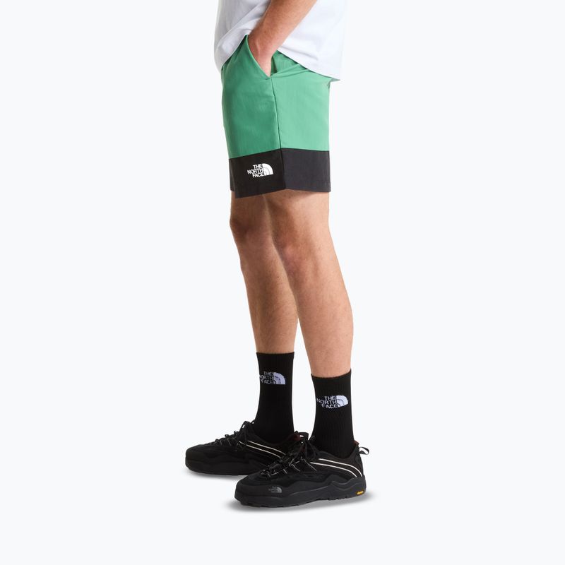 Herren-Trekkingshorts The North Face Leynar dimmed algae/tnf black 4