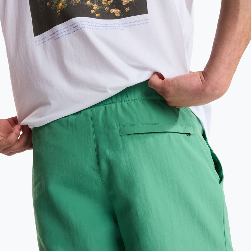 Herren-Trekkingshorts The North Face Leynar dimmed algae/tnf black 6