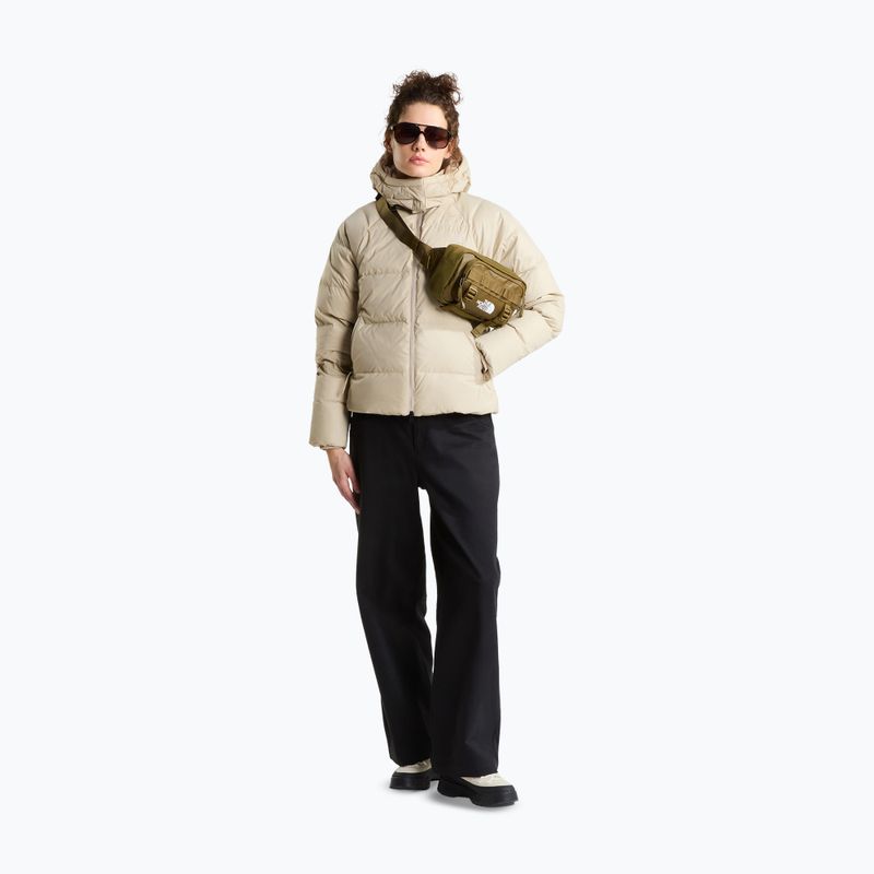 Damen-Daunenjacke The North Face Hydrenalite City Down Hooded timeless taupe 2