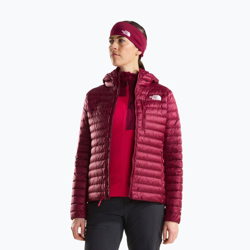 Damen-Daunenjacke The North Face Bettaforca Lt Down Hoodie burgundy crush/lali gur 4