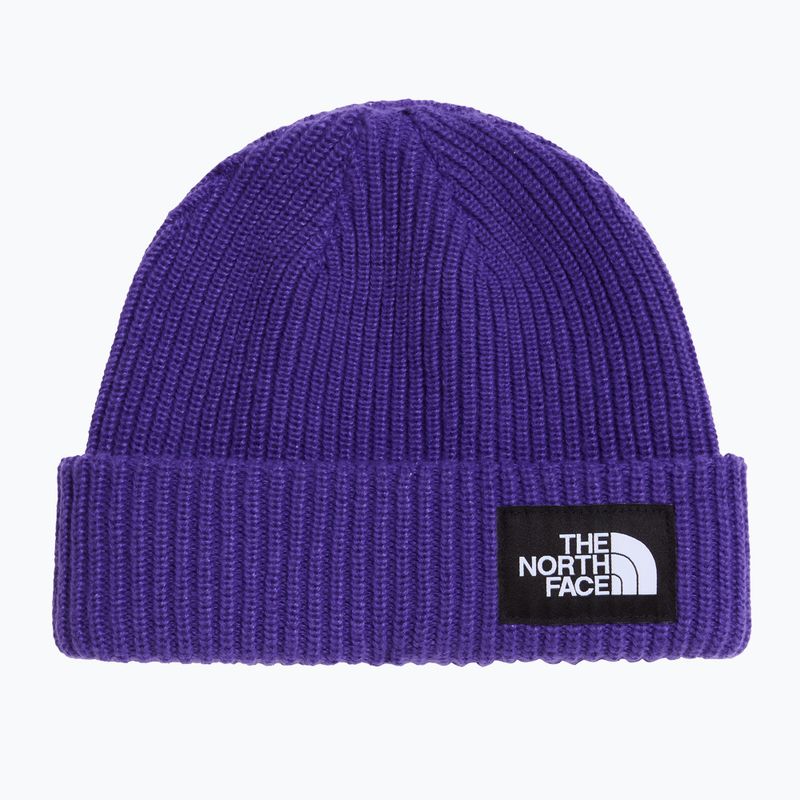 Wintermütze The North Face Salty Lined peak purple