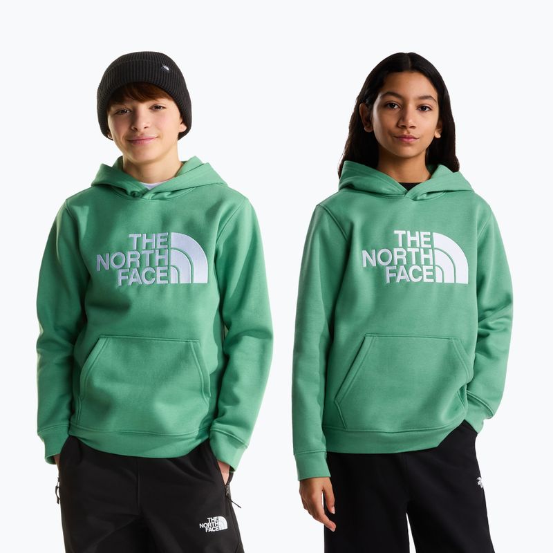 Kinder-Sweatshirt The Noryh Face Essential Drew Peak Hoodie dimmed algae 3