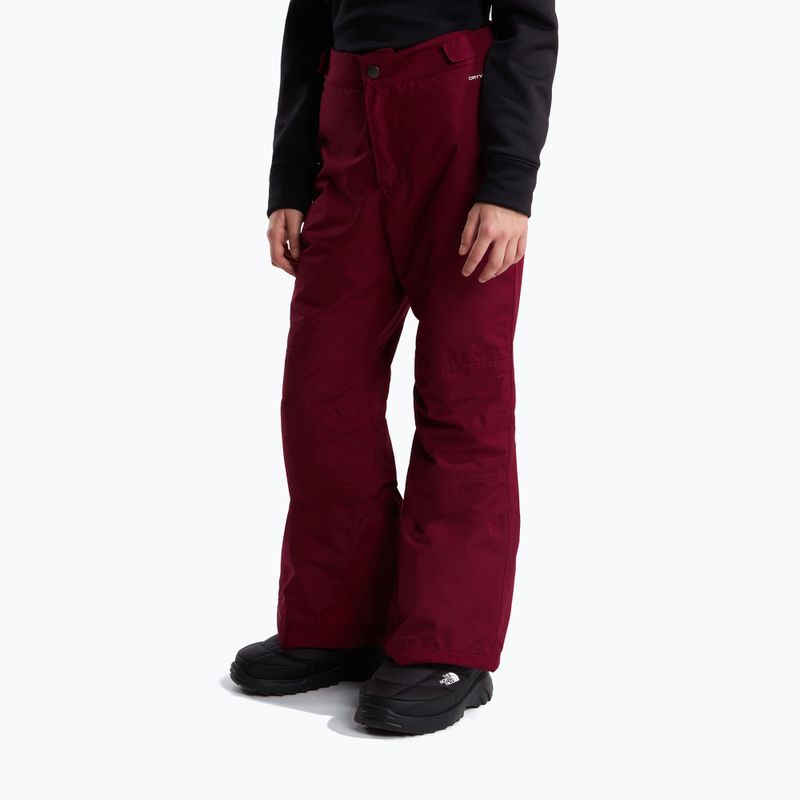 Kinder-Skihose The North Face Freedom Insulated burgundy crush