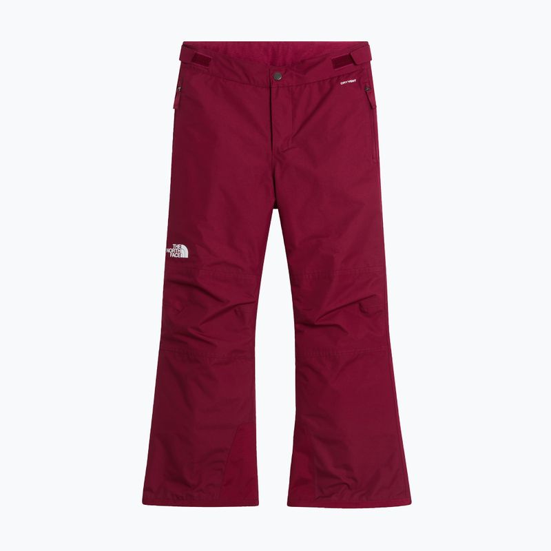 Kinder-Skihose The North Face Freedom Insulated burgundy crush 4