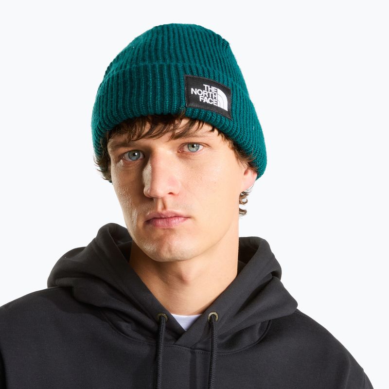 Wintermütze The North Face Salty Lined pacific teal 3