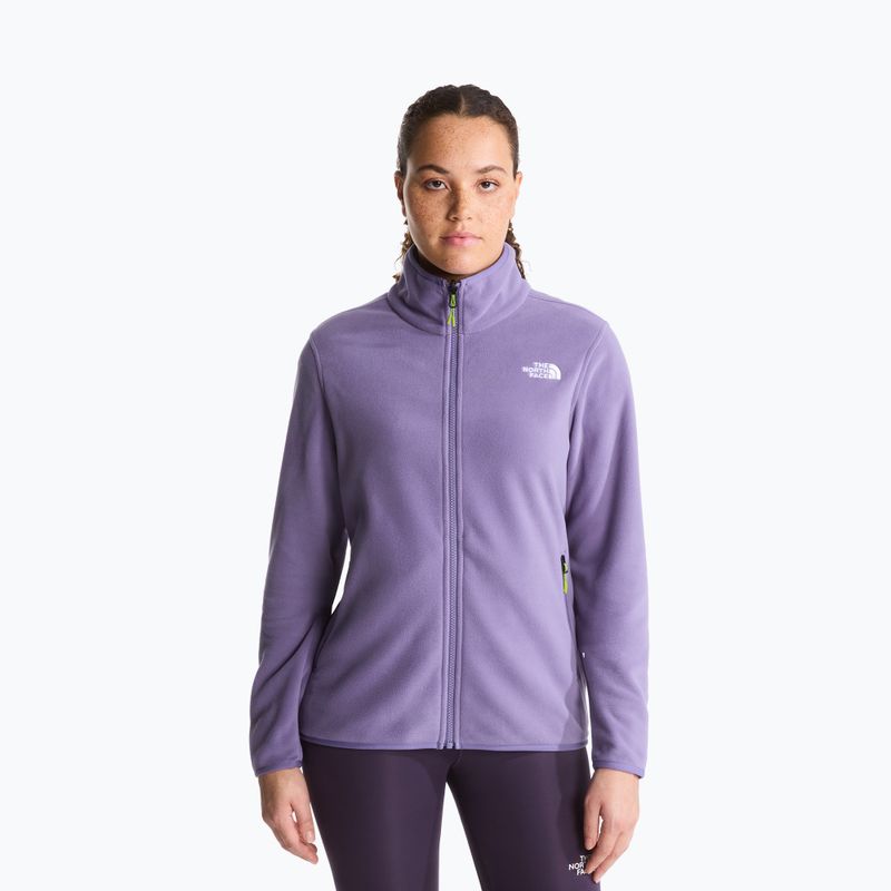 Fleecejacke für Herren The North Face Glacier Fleece grounded plum
