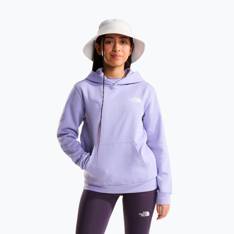 Kinder-Sweatshirt The North Face Evolution Box NSE Pullover Hoodies pale plum 2