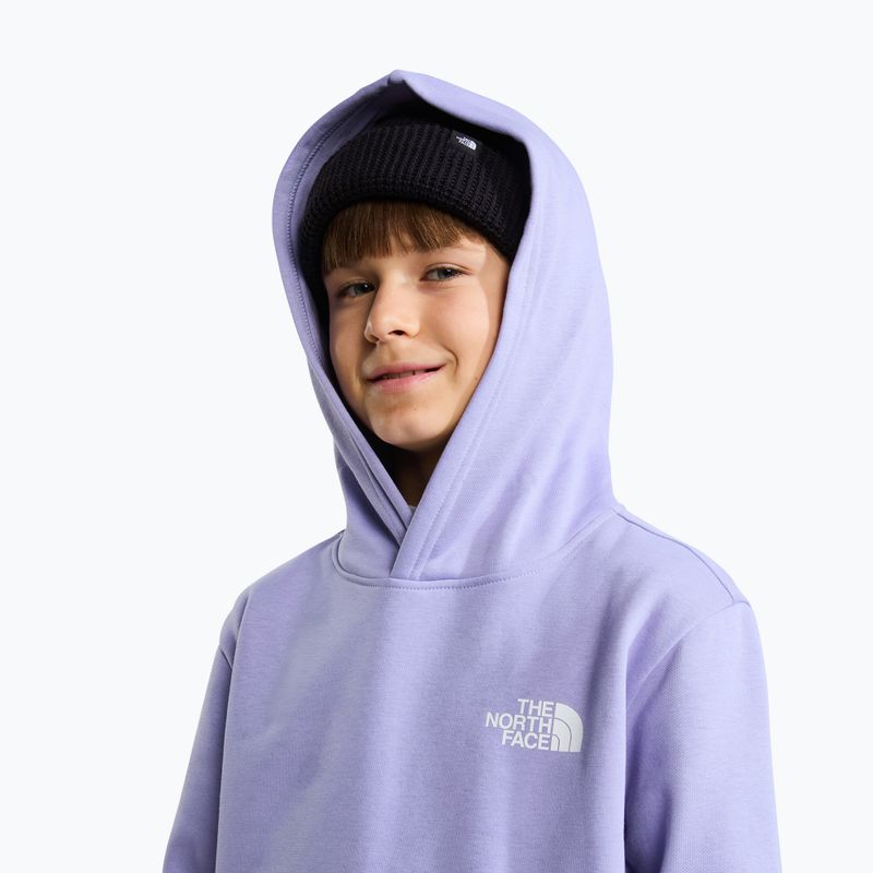 Kinder-Sweatshirt The North Face Evolution Box NSE Pullover Hoodies pale plum 6
