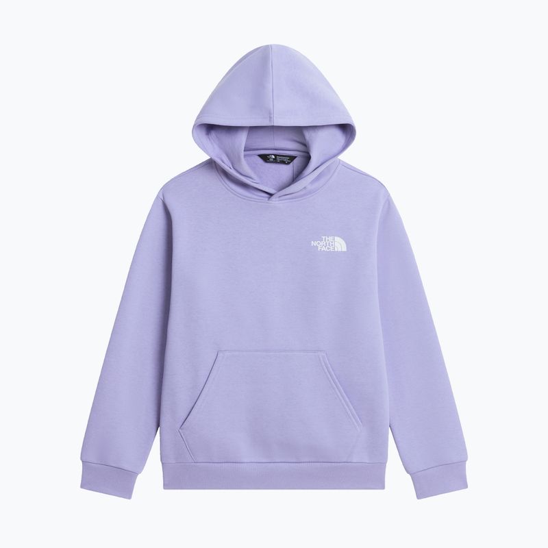 Kinder-Sweatshirt The North Face Evolution Box NSE Pullover Hoodies pale plum 7