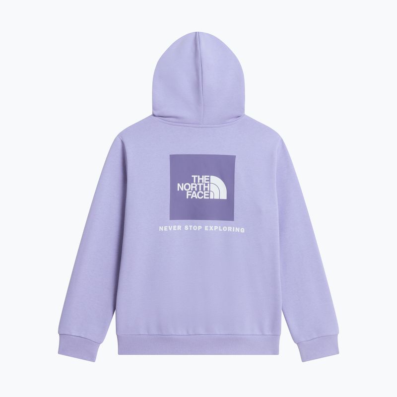 Kinder-Sweatshirt The North Face Evolution Box NSE Pullover Hoodies pale plum 8